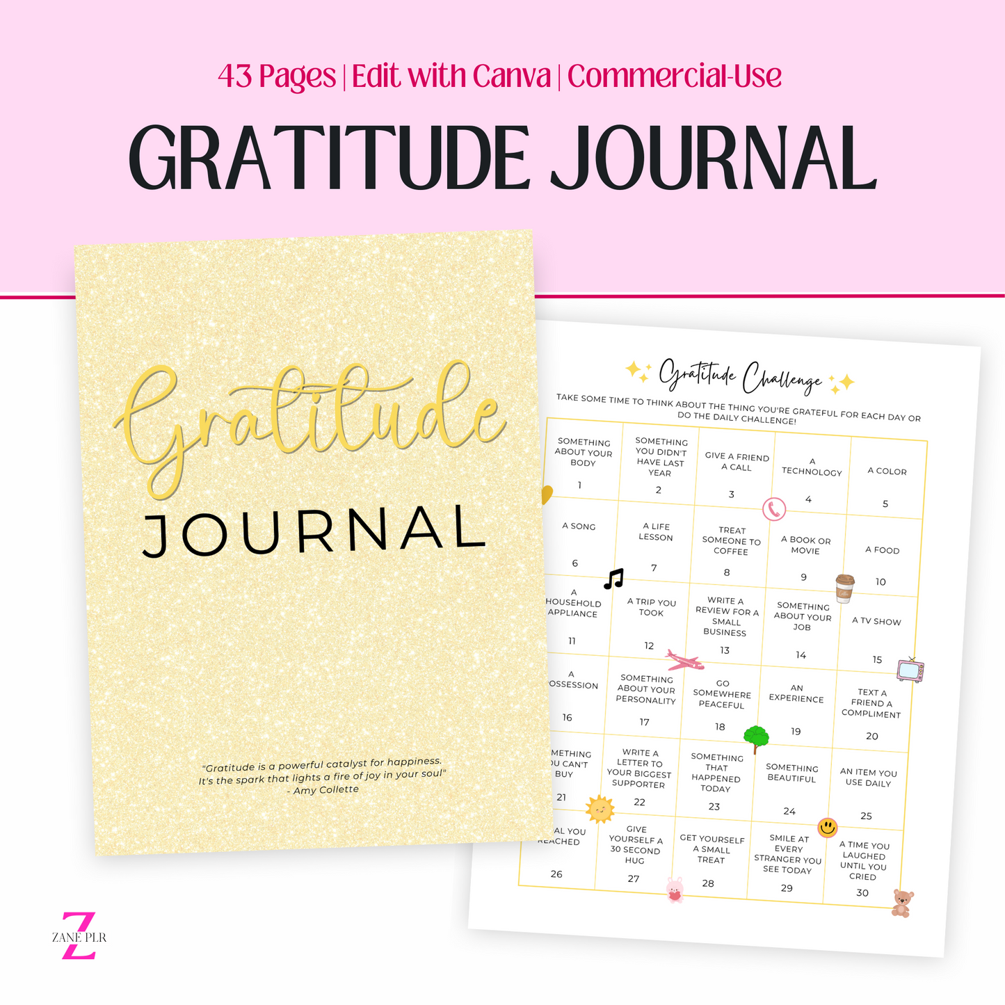 PLR Gratitude Journal