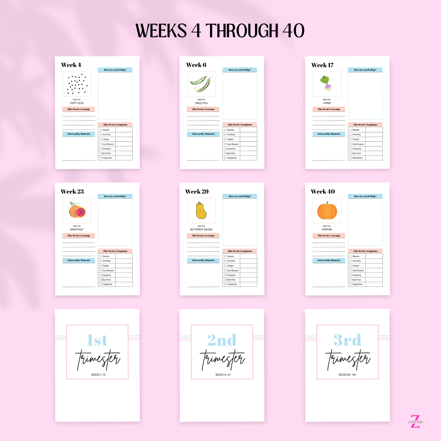 PLR Pregnancy Planner