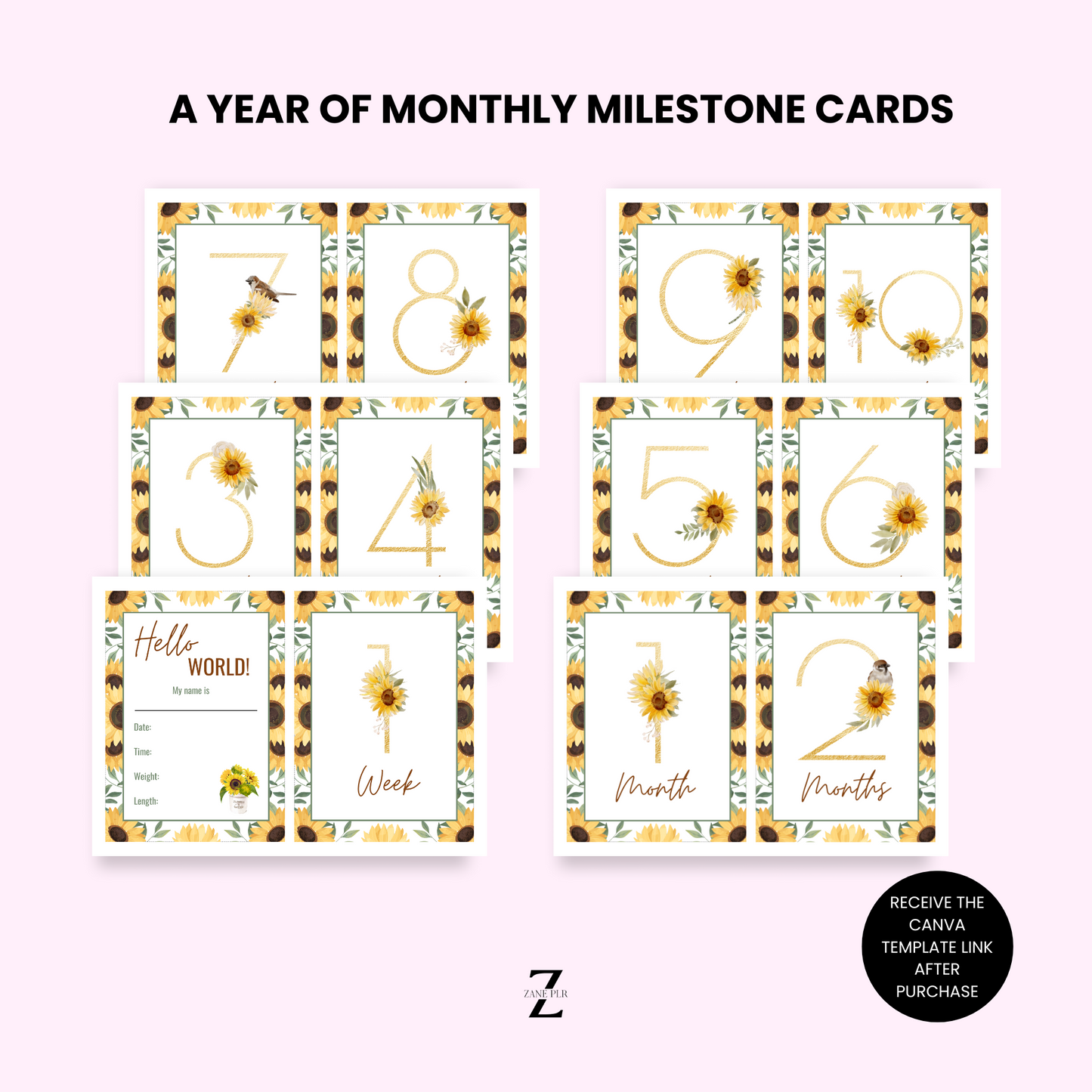 PLR Baby's Milestone Cards