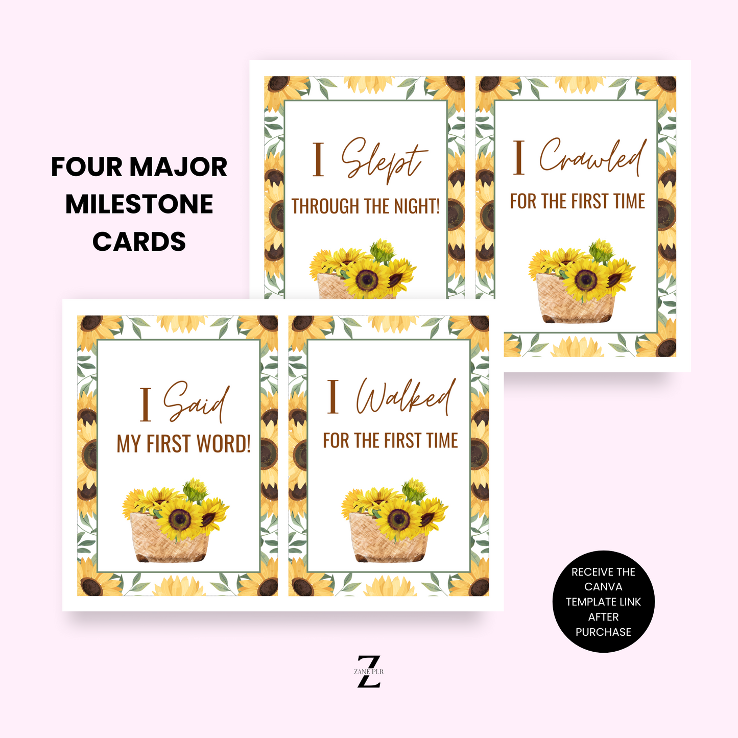 PLR Baby's Milestone Cards
