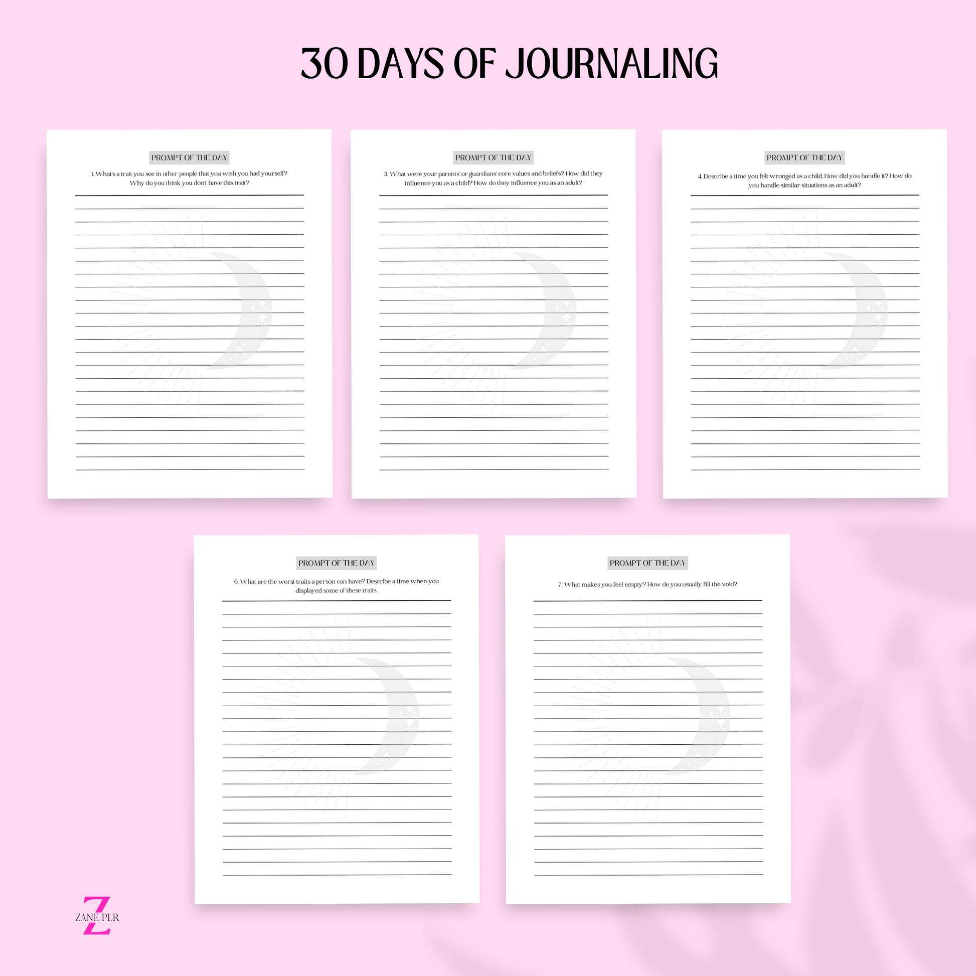 PLR Shadow Work Journal – zaneplr